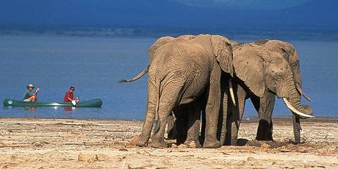 lake manyara national park 013.jpg