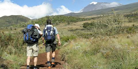 mount kilimanjaro 037.jpg