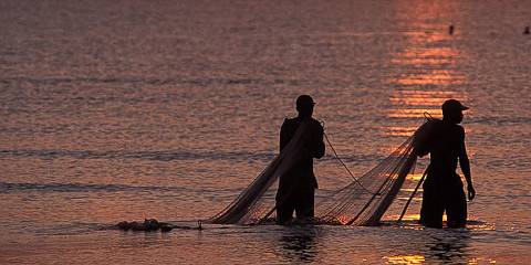 saadani national park 002.jpg